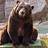 BearRaid21