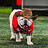 DawgLeg