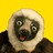 theLeemur