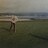 Trfly_Lr