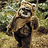 Wicket